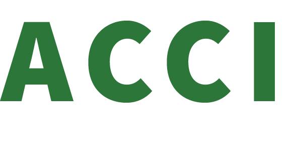 ACCESSAI logo